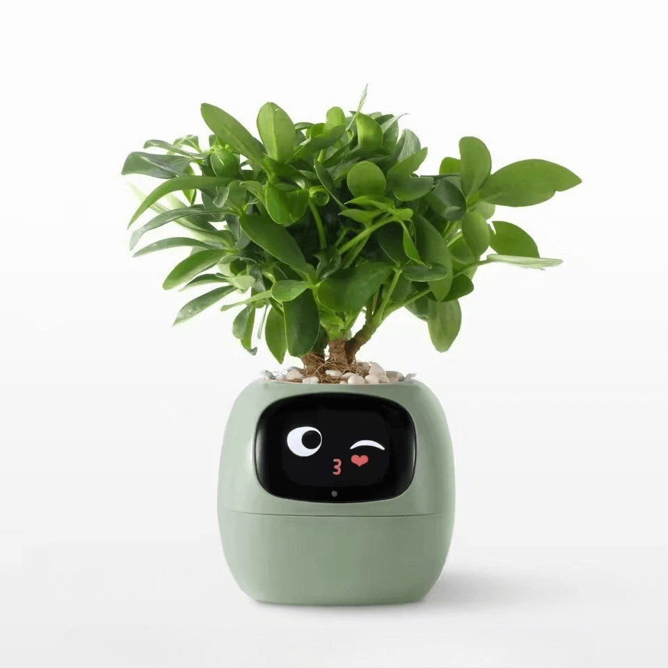 MojiPlant Ivy - Smart AI Pot