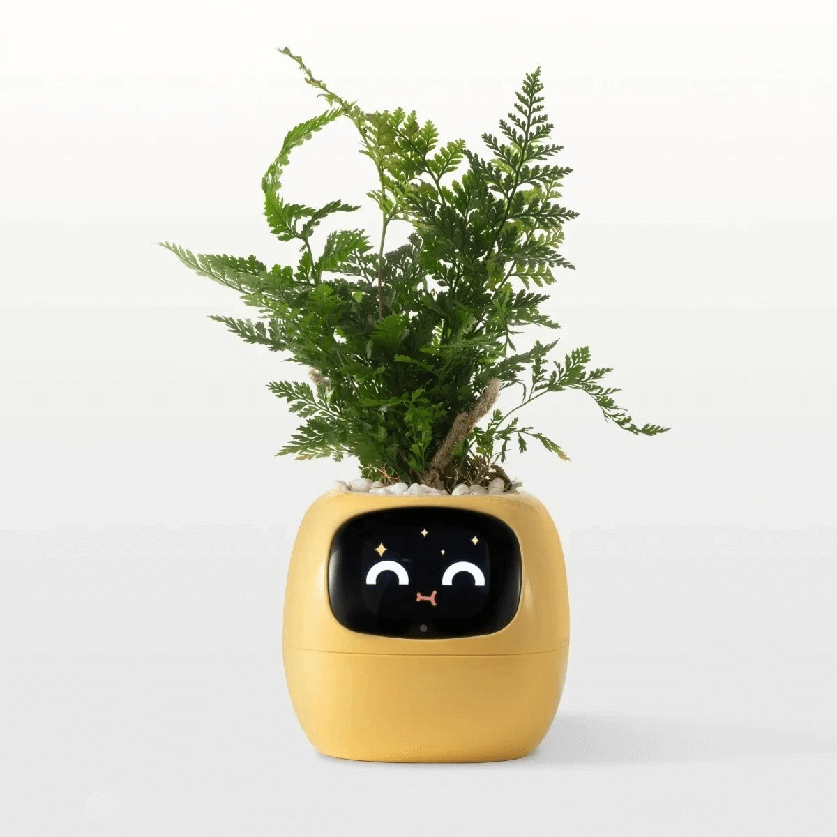 MojiPlant Ivy - Smart AI Pot