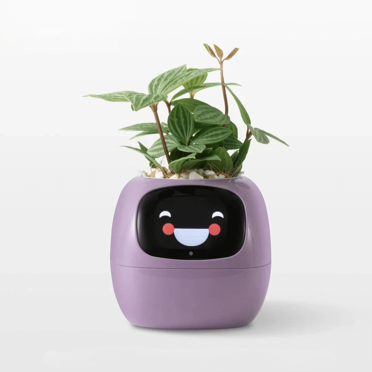 MojiPlant Ivy - Smart AI Pot
