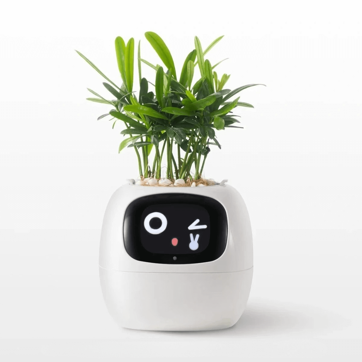 MojiPlant Ivy - Smart AI Pot