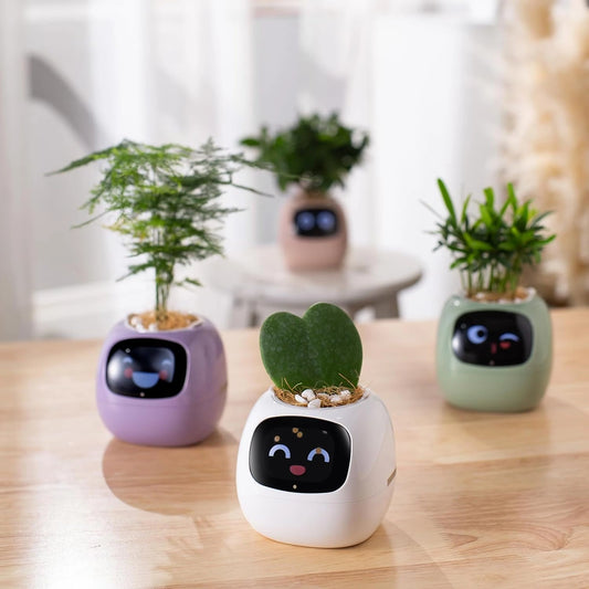 Smart AI växtkruka - MojiPlant Ivy